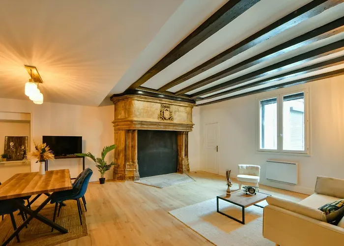 La Dame Blanche - Appartement Hypercentre Historique