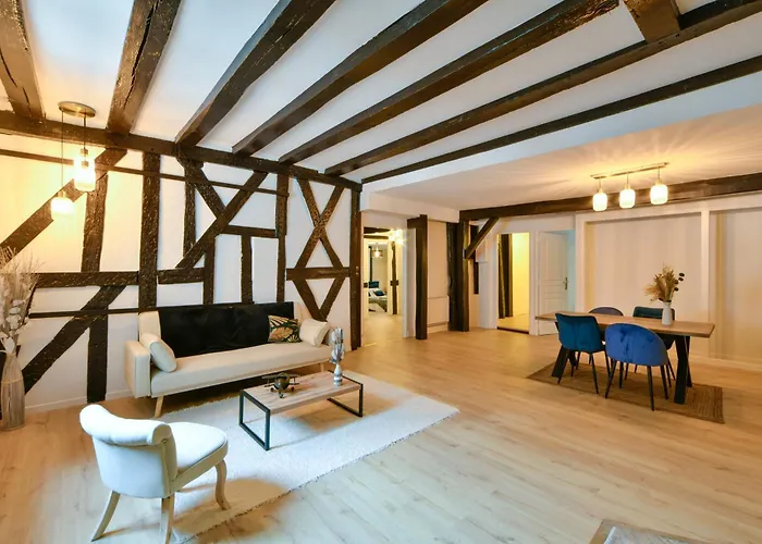 La Dame Blanche - Appartement Hypercentre Historique