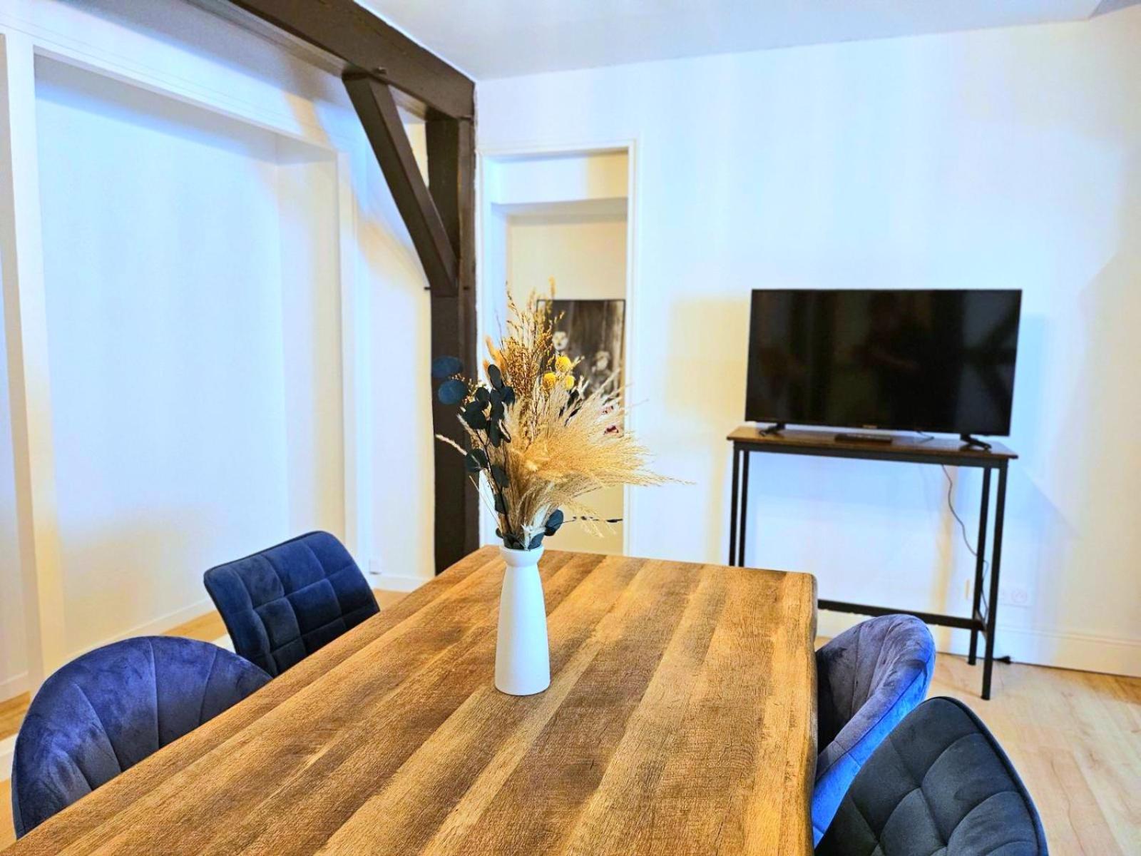 Apartment La Dame Blanche - Hypercentre Historique Bourges