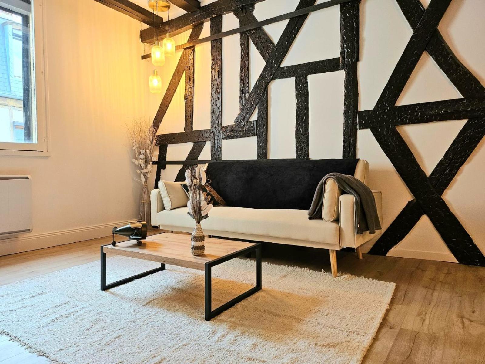 La Dame Blanche - Hypercentre Historique Bourges